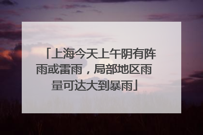 上海今天上午阴有阵雨或雷雨，局部地区雨量可达大到暴雨